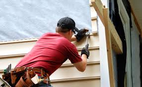 Best Fascia and Soffit Installation  in Oakland, NE